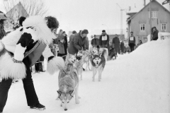 Scan_008