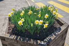 IMG-20220417-WA0002