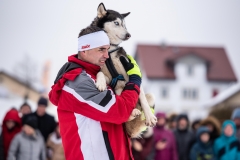 Chiens00011