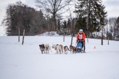 Chiens00022