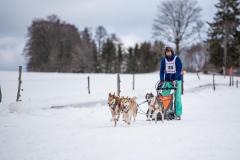Chiens00024
