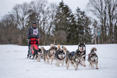 Chiens00025