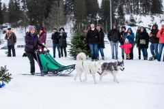 Chiens00047