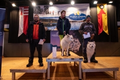 Chiens00091