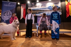 Chiens00096
