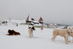 © Andrea Babey | www.babey-creation.ch