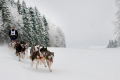 © Andrea Babey | www.babey-creation.ch