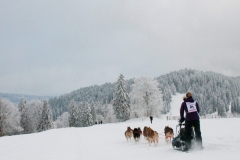 © Andrea Babey | www.babey-creation.ch