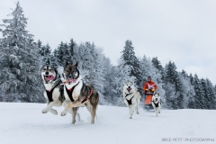 © Brice Petit | www.bricephoto.ch