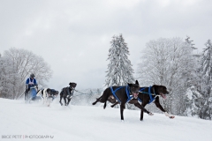 © Brice Petit | www.bricephoto.ch