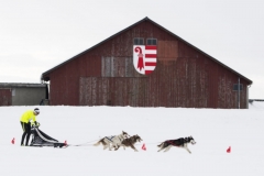 SUISSE COURSES CHIENS DE TRAINEAUX