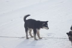 © Florian Humbert-Droz | http://floby86.wix.com/florian-humbert-droz#!/c199t | +41 78 614 62 43