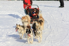 © Florian Humbert-Droz | http://floby86.wix.com/florian-humbert-droz#!/c199t | +41 78 614 62 43