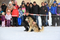 © Florian Humbert-Droz | http://floby86.wix.com/florian-humbert-droz#!/c199t | +41 78 614 62 43