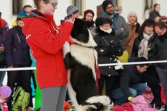© Florian Humbert-Droz | http://floby86.wix.com/florian-humbert-droz#!/c199t | +41 78 614 62 43