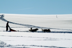 DSCF0056-132