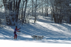 DSCF0059-131