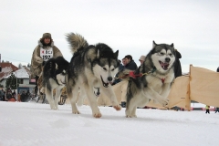 photo_1-14