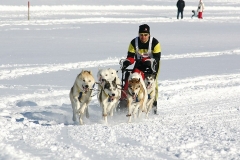 photo_16-29
