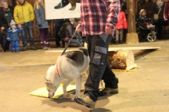 © Florian Humbert-Droz | http://floby86.wix.com/florian-humbert-droz#!/c199t | +41 78 614 62 43