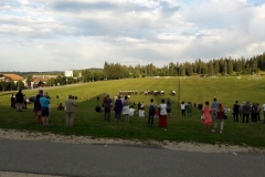 QD-A52016-20170731194729068