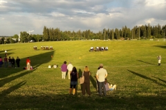 QD-A52016-20170731195038949