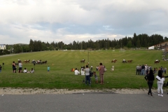 QD-A52016-20170731201244412