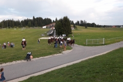 QD-A52016-20170731201314798